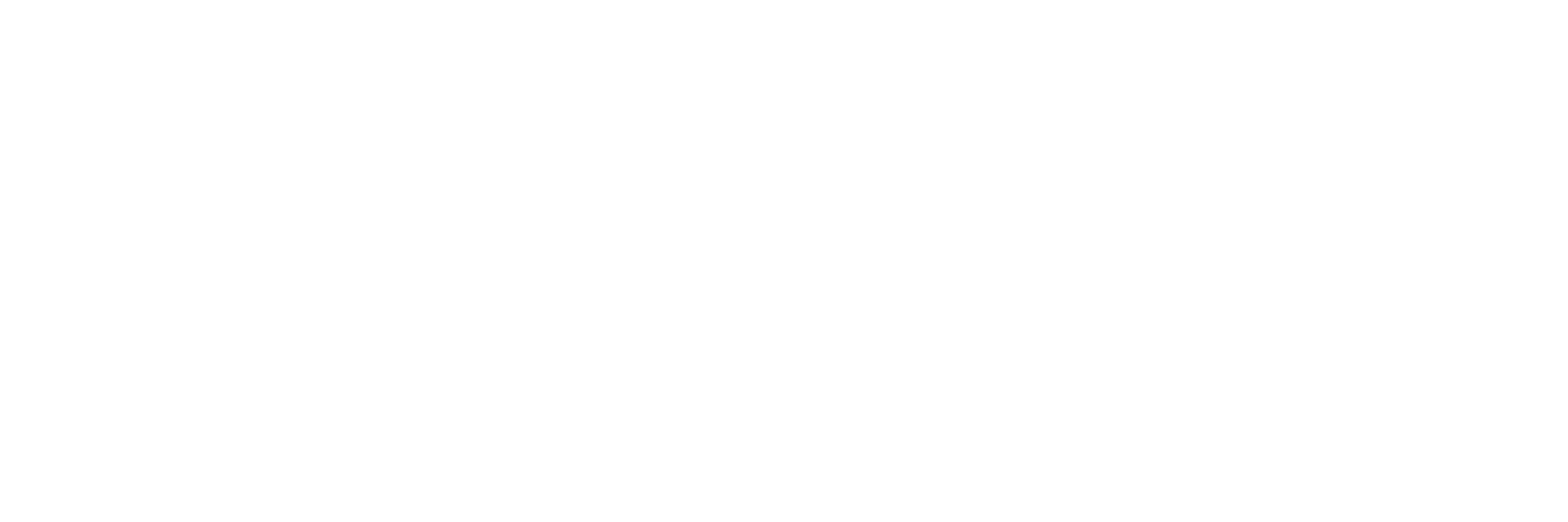 pamir.ai